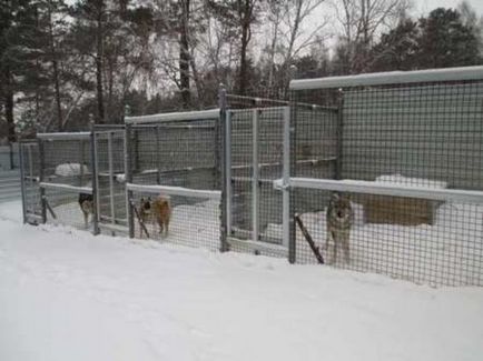 Готелі для тварин куди подіти вихованця на час відпустки