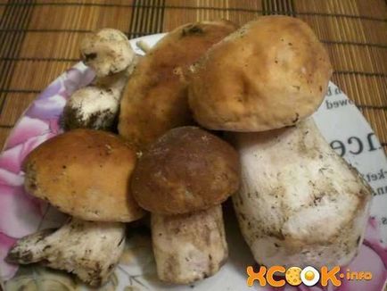 Supă de ciuperci cu vermicelli - rețetă pas cu pas cu fotografie, cum se gătește cu cartofi