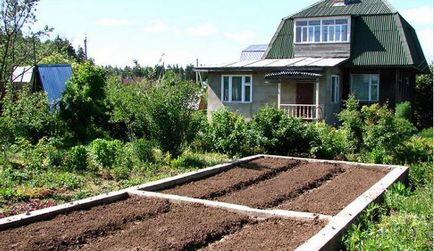 Грядки з полікарбонату своїми руками технологія, облаштування, схема та рекомендації