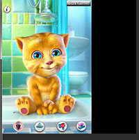 Jocul Talking Tom Cat - Animal de companie fluffy în browser-ul dvs. pentru a juca online gratuit