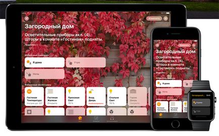 Integrarea homekit-ului de mere într-un sistem inteligent de acasă inteligent