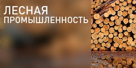Portalul de investiții al regiunii Sverdlovsk