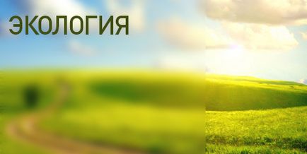 Portalul de investiții al regiunii Sverdlovsk