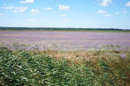 Як дістатися в Актовський каньйон і на що звернути увагу