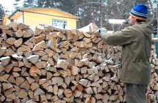 Які дрова краще вибрати для опалення