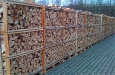 Ce fel de lemn de foc este mai bun pentru încălzire