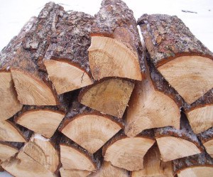 Ce fel de lemn de foc este cel mai bun pentru încălzirea unei case, o saună, un șemineu