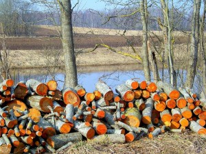 Які дрова краще всього, щоб топити будинок, баню, камін