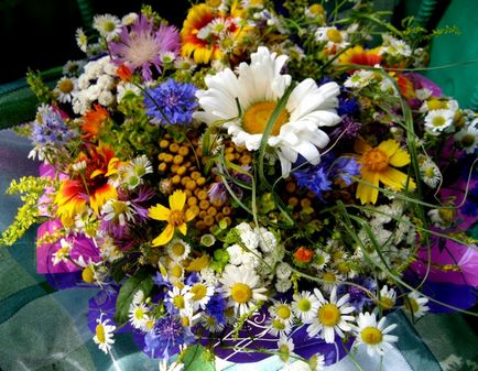 Які квіти дарувати на весілля і на річниці шлюбу