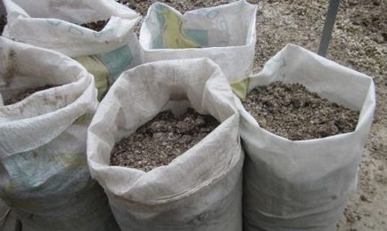 Ce fel de îngrășământ trebuie aplicat la plantarea castraveților, dachasadnik