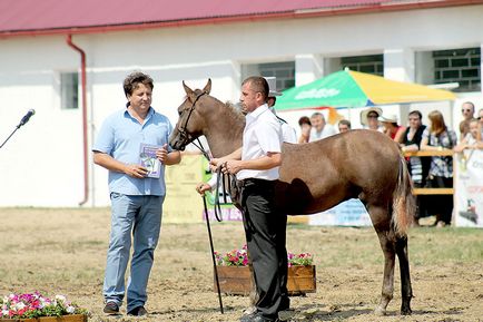 Cum să cumpărați o fermă de pășunat în faliment și să o ridicați în picioare