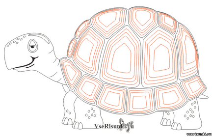 Як намалювати черепаху олівцем поетапно