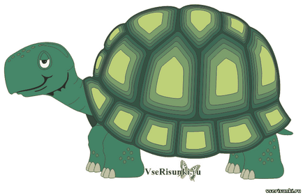 Cum să desenezi o broască țestoasă în creion pas cu pas