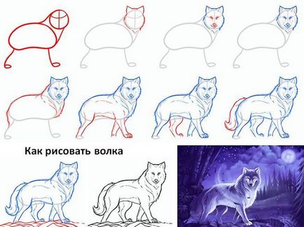 Як намалювати олівцем поетапно дорослого вовка