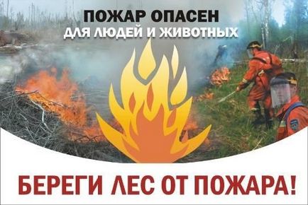 Cum de a desena un poster pe o temă - Aveți grijă de pădure de la un incendiu