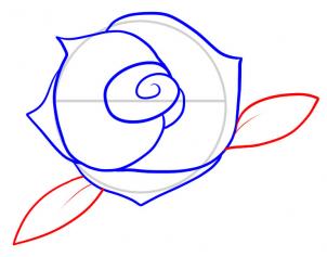 Як намалювати троянду олівцем поетапно »маленька письменниця