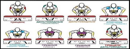 Тъй като лицеви опори за напомпване на раменете си упражнява по делтата -