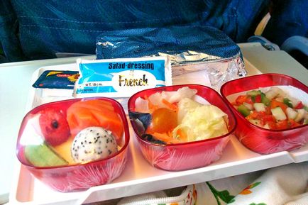 Cum să obțineți alimente vegetariene în avion - să comandați alimente în avion Aeroflot - călătorii cu avionul