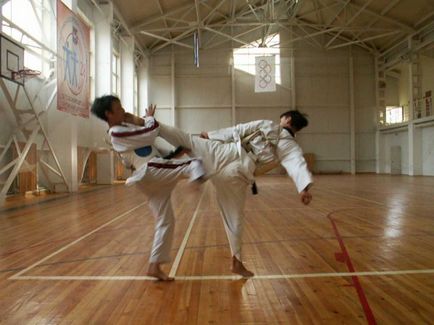 Cum de a construi un secret de contraatac al Taekwondo - un leu - un club de copii din Taekwondo