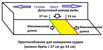 Як правильно виміряти рибу в Квебеку