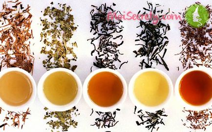 Hogyan kioldódni különböző típusú tea, titkomat - Női Blog