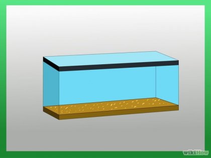 Як перетворити акваріум в клітку для піщанки
