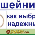 Як привчити собаку до води і плавання