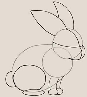 Як малювати кролика (крок за кроком)