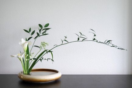 Cum sa faci ikebana