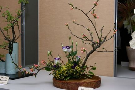 Cum sa faci ikebana