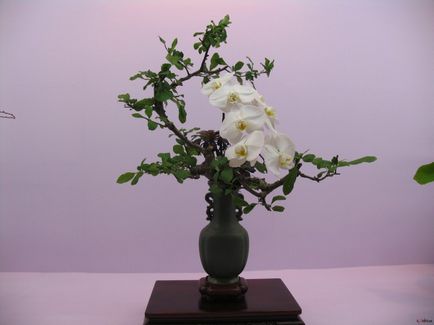 Cum sa faci ikebana