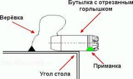 Як зробити пастку для ящірки з пляшки