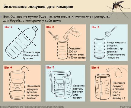 Hogyan készítsünk egy csapdát egy gyík a palackból (csinálni) Hogyan készítsünk egy csapda ki egy üveg gyík