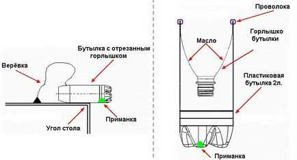 Як зробити пастку для ящірки з пляшки