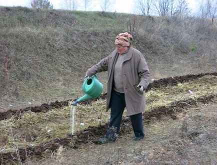 Cum sa faci un pat de rozari cald in 12 trepte