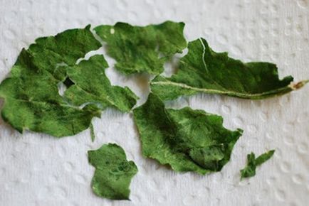 Cum să păstreze arugula pentru căile de iarnă de recoltare a unei plante de salată