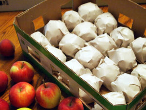 Cum să păstreze merele proaspete pentru iarna 6 moduri și 4 condiții