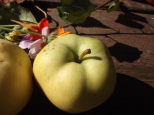 Hogyan kell tartani az alma friss a téli 6 módjai és feltételek 4