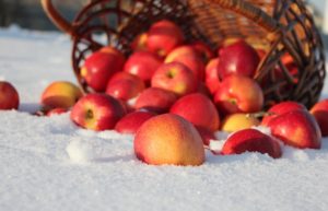 Hogyan kell tartani az alma friss a téli 6 módjai és feltételek 4