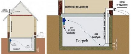 Як прибрати вогкість в підвалі і гаражі - будь в темі