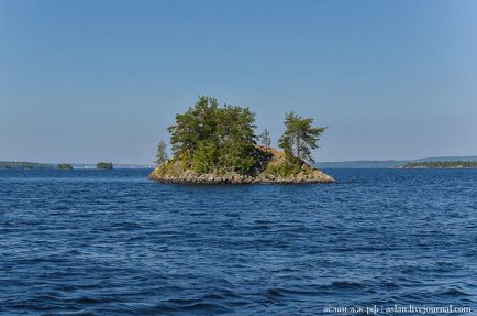 Cum să crești păstrăvul în Lacul Onega este interesant!