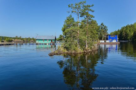 Cum să crești păstrăvul în Lacul Onega este interesant!