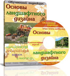 Як виростити лимони, апельсини будинку з кісточки