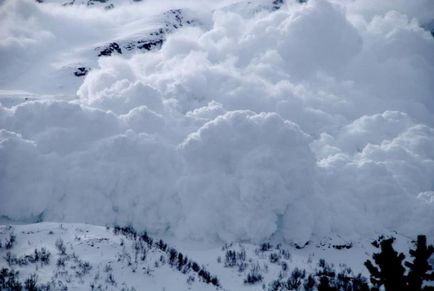 Cum să supraviețuiți într-o avalanșă de zăpadă