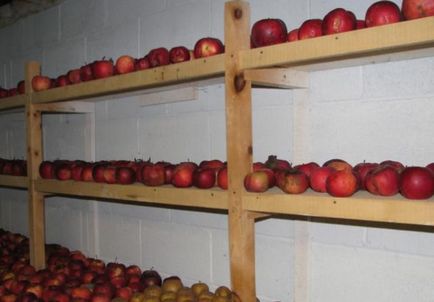 Cum se păstrează merele în iarna în pivniță (subsol)