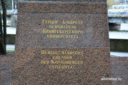 Калінінград кафедральний собор острів могила канта пам'ятник Альбрехту