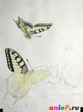 Картина з метеликами кольоровими олівцями - уроки малювання олівцями і пастеллю