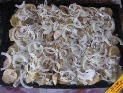 Burgonya gombával a kemencében (lépésről lépésre recept fotók) (sütemények) Burgonya gombával sütőben (lépésről lépésre recept fotókkal)