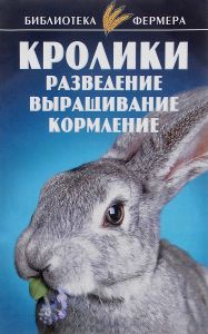 Казахська тонкорунна вівці тонкорунних породи м'ясо-вовняне напрямок