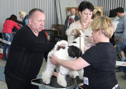 Kennel Club Sirius din Saratov, Sirius, Federația Rusă a câinilor de vânătoare,